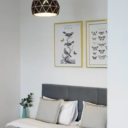 Apartment Homewell Goplana Poznan