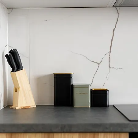 Homewell Goplana Apartment Posen