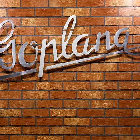 Homewell Goplana Posen