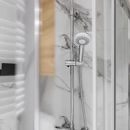 Apartment Homewell Goplana Posen